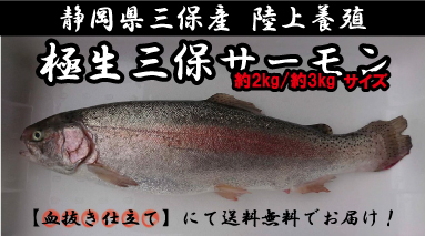 活活お魚 Com 活魚の簡単ショッピングサイト